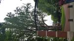 20160629_101037