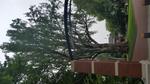 20160629_101038(0)