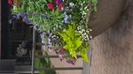 20160630_121747