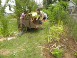 DSCN8108