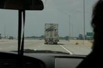 IMG 6382