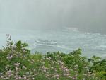 DSCF0075.JPG_s