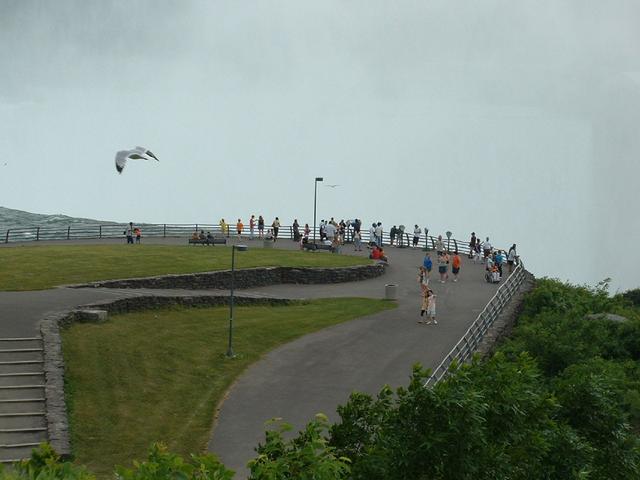 DSCF0076.JPG_s