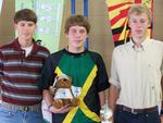 STVA_7th