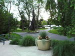 Photos around campus