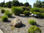 DSC00201