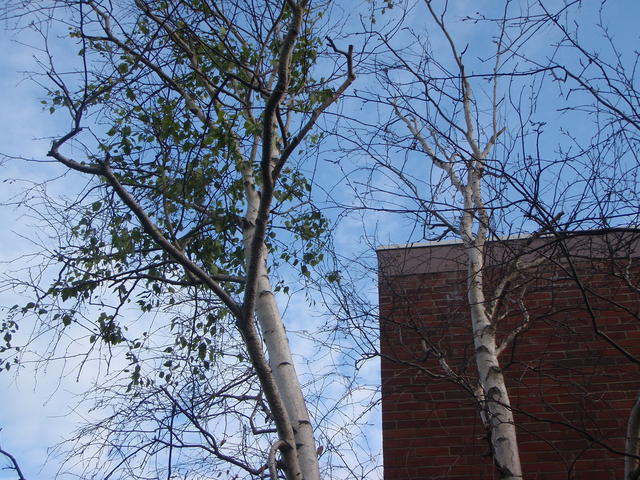 P7071277