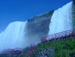 DSC03801