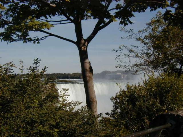 P7090057