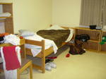 DSCN0444