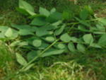 DSCN1404
