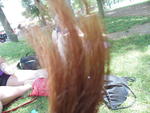 DSCN1425