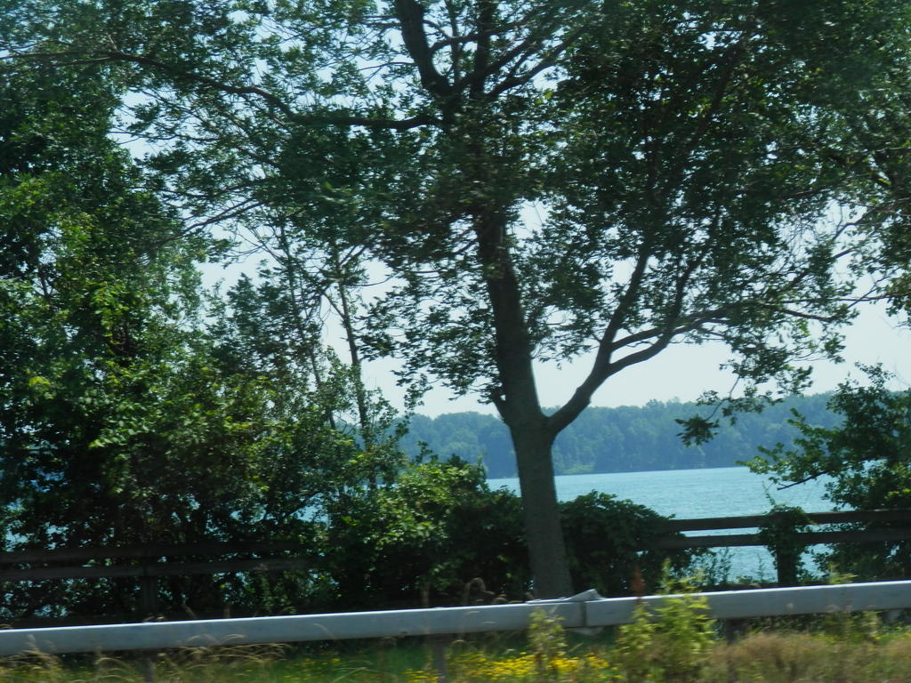 P7080193